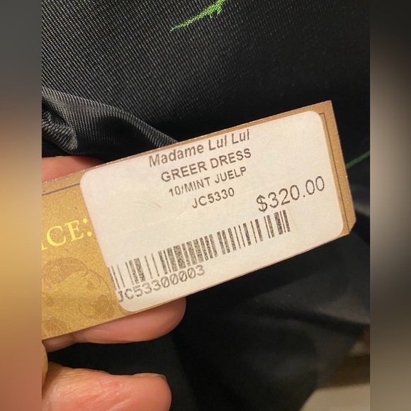 Eva Franco Greer Mint Julup Sheer Women Special Occasion Dress - Picture 8 of 9